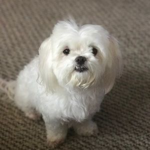 Meet your Posher, Jackie